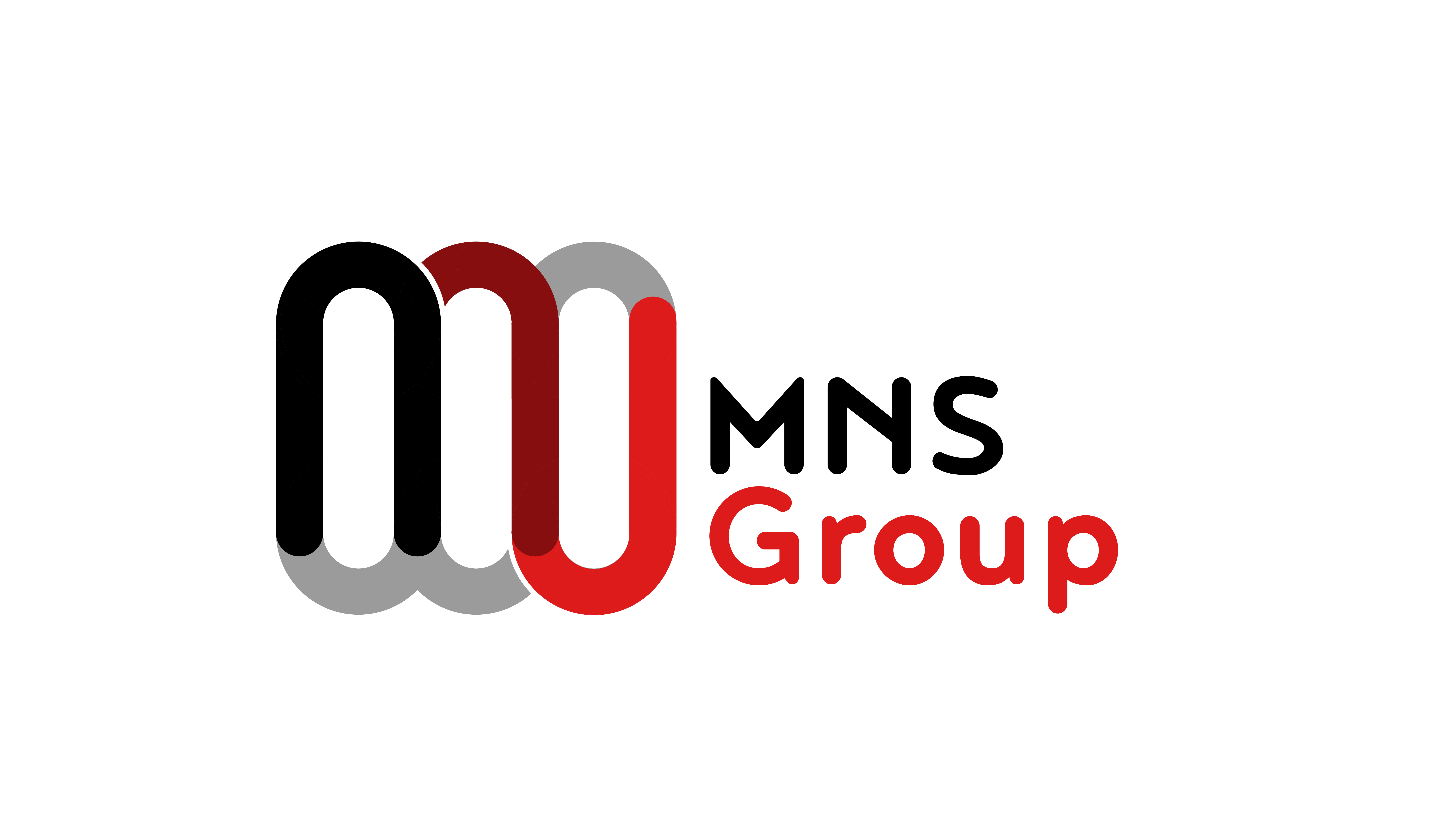 MNS-Group-Logo-2